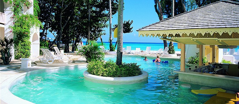 Bougainvillea Barbados