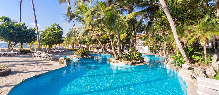 Coral Costa Caribe