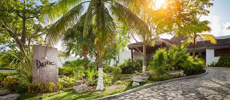 Desire Pearl Riviera Maya Resort 21 Plus