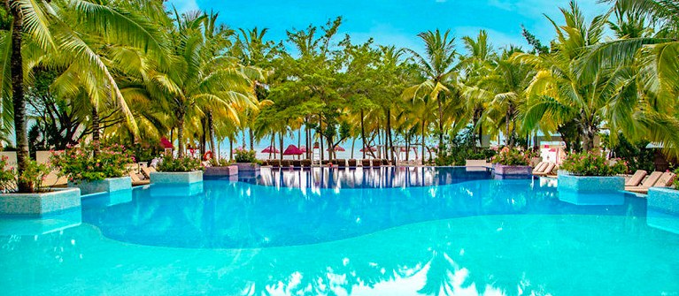 Grand Oasis Palm