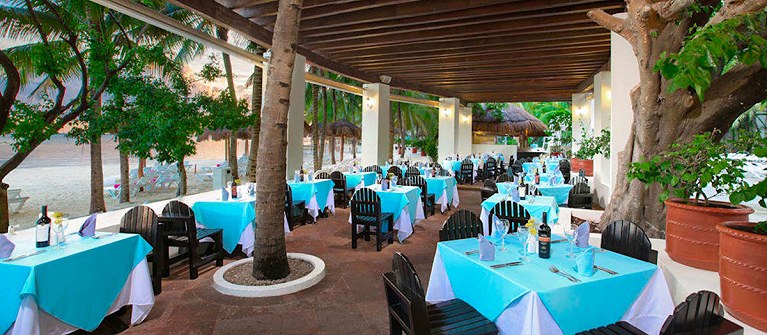 Grand Oasis Palm