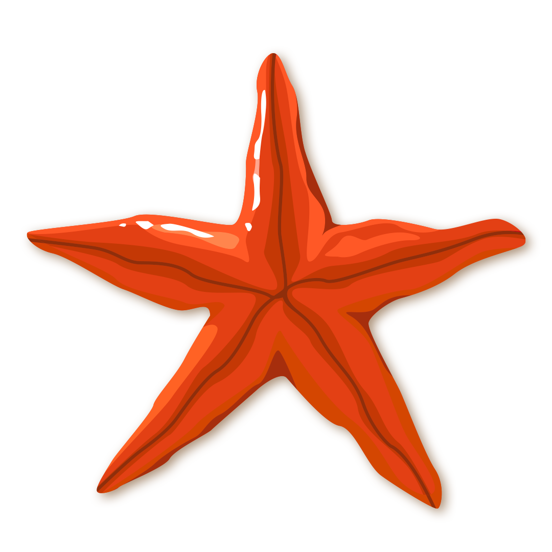 Étoile de mer
