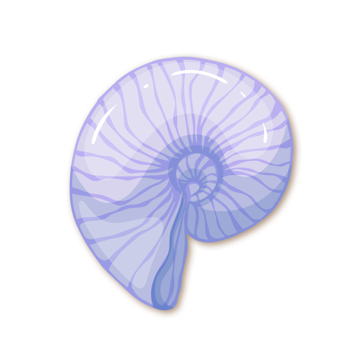 Coquillage
