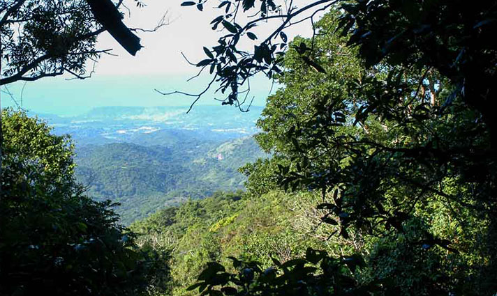 bocanao