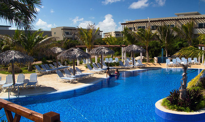 Golden Tulip