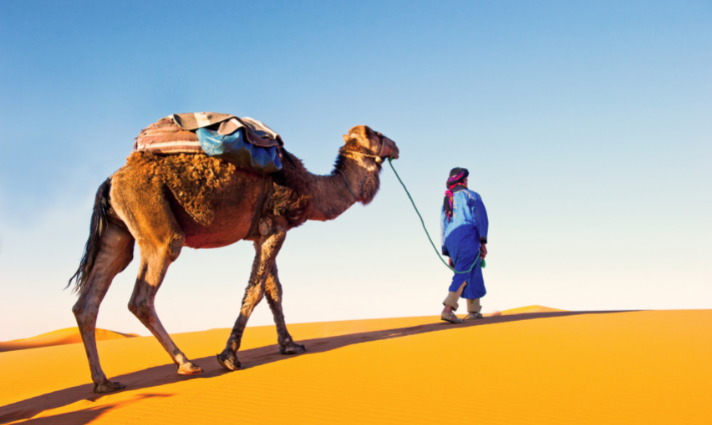 Moroccan Desert