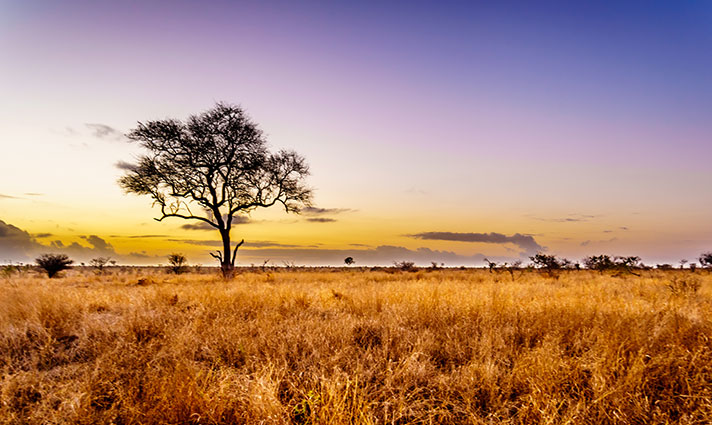 Kruger National Park