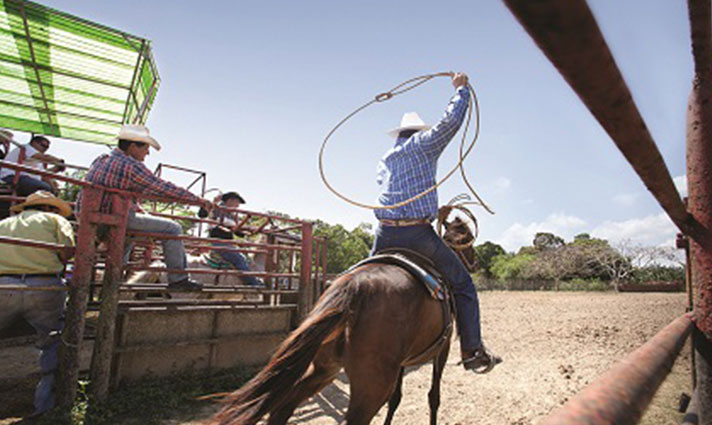 rodeocuba