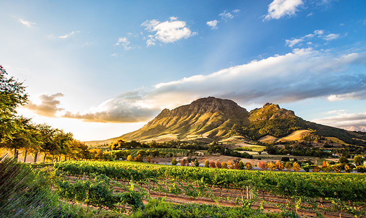 Stellenbosch