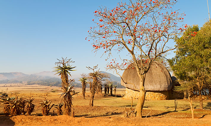 Swaziland