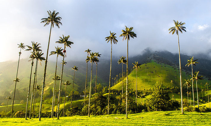 colombia